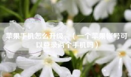 苹果手机怎么升级qq（一个苹果帐号可以登录两个手机吗）