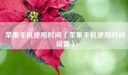 苹果手机使用时间（苹果手机使用时间设置）