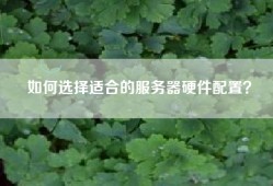 如何选择适合的服务器硬件配置？