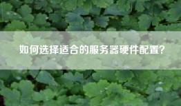 如何选择适合的服务器硬件配置？