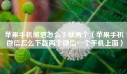 苹果手机微信怎么下载两个（苹果手机微信怎么下载两个微信一个手机上面）