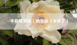 手机情景剧（情景剧《手机》）