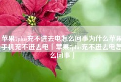 苹果7plus充不进去电怎么回事为什么苹果手机充不进去电「苹果7plus充不进去电怎么回事」