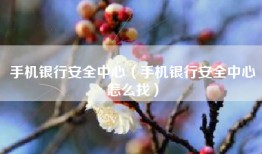 手机银行安全中心（手机银行安全中心怎么找）