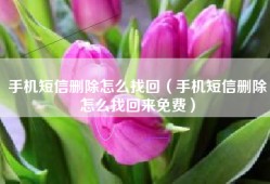 手机短信删除怎么找回（手机短信删除怎么找回来免费）