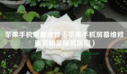 苹果手机屏幕维修（苹果手机屏幕维修原装和非原装区别）