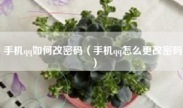 手机qq如何改密码（手机qq怎么更改密码）