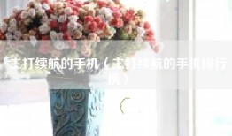 主打续航的手机（主打续航的手机排行榜）