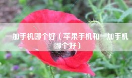 一加手机哪个好（苹果手机和一加手机哪个好）