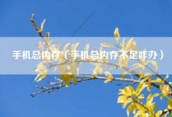 手机总内存（手机总内存不足咋办）