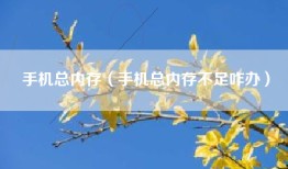 手机总内存（手机总内存不足咋办）