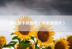 第一部手机图片（手机屏图片）