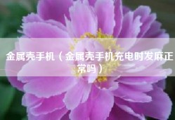 金属壳手机（金属壳手机充电时发麻正常吗）