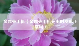 金属壳手机（金属壳手机充电时发麻正常吗）