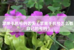 苹果手机号码丢失（苹果手机号怎么看自己的号码）