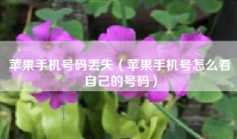苹果手机号码丢失（苹果手机号怎么看自己的号码）