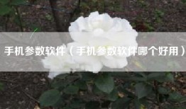 手机参数软件（手机参数软件哪个好用）