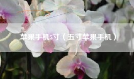 苹果手机5寸（五寸苹果手机）