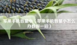 苹果手机音量小（苹果手机音量小怎么办教你一招）