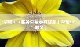 荣耀VIP+服务荣耀手机客服「荣耀VIP+服务」