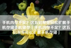手机内存不足？这五招帮你轻松扩展手机存储手机储存「手机内存不足？这五招帮你轻松扩展手机存储」