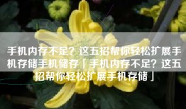 手机内存不足？这五招帮你轻松扩展手机存储手机储存「手机内存不足？这五招帮你轻松扩展手机存储」
