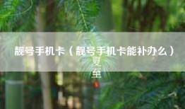 靓号手机卡（靓号手机卡能补办么）