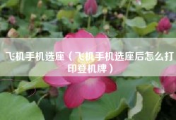 飞机手机选座（飞机手机选座后怎么打印登机牌）