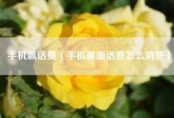 手机赢话费（手机里面话费怎么消费）