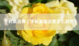 手机赢话费（手机里面话费怎么消费）