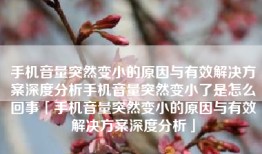手机音量突然变小的原因与有效解决方案深度分析手机音量突然变小了是怎么回事「手机音量突然变小的原因与有效解决方案深度分析」