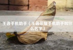 王者手机助手（王者荣耀手机助手叫什么名字）