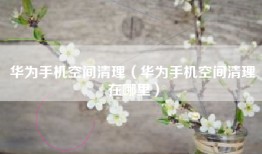 华为手机空间清理（华为手机空间清理在哪里）