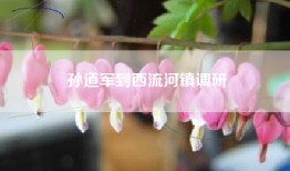 孙道军到西流河镇调研