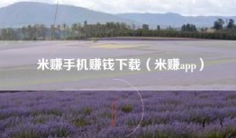 米赚手机赚钱下载（米赚app）