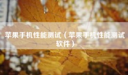 苹果手机性能测试（苹果手机性能测试软件）