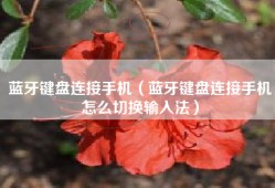 蓝牙键盘连接手机（蓝牙键盘连接手机怎么切换输入法）