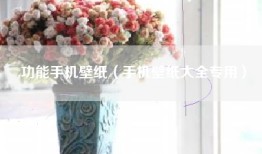 功能手机壁纸（手机壁纸大全专用）