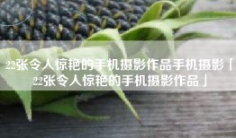 22张令人惊艳的手机摄影作品手机摄影「22张令人惊艳的手机摄影作品」