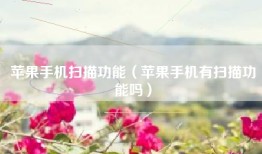 苹果手机扫描功能（苹果手机有扫描功能吗）