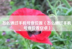 怎么通过手机号查位置（怎么通过手机号查位置安卓）