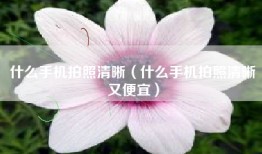 什么手机拍照清晰（什么手机拍照清晰又便宜）