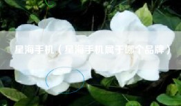 星海手机（星海手机属于哪个品牌）