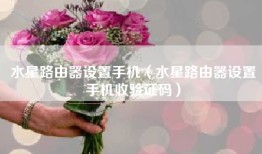 水星路由器设置手机（水星路由器设置手机收验证码）