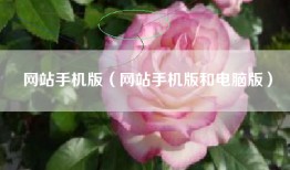 网站手机版（网站手机版和电脑版）