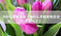 为什么手机充电（为什么手机充电会充一下断一下）
