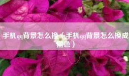 手机qq背景怎么换（手机qq背景怎么换成黑色）