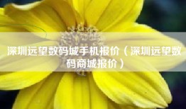 深圳远望数码城手机报价（深圳远望数码商城报价）