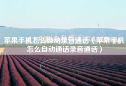 苹果手机怎么自动录音通话（苹果手机怎么自动通话录音通话）