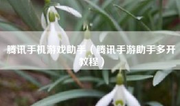 腾讯手机游戏助手（腾讯手游助手多开教程）